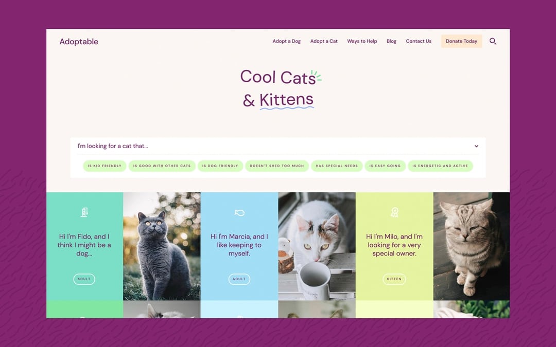 Adoptable Pets HTML5 Responsive site Template